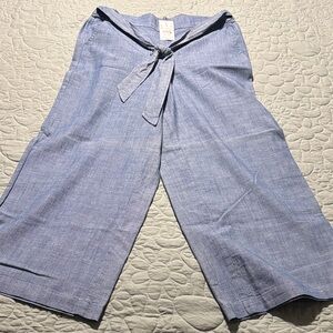 J. Crew Blue Cropped Pants